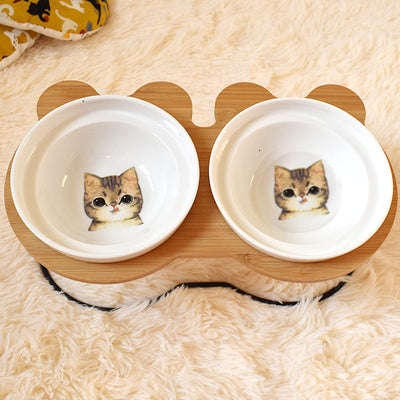 Cat Food and Water