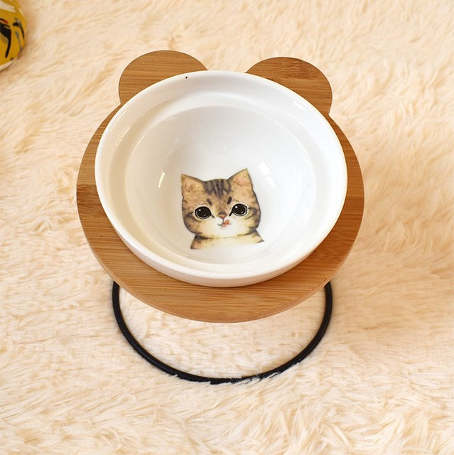Cat Food and Water